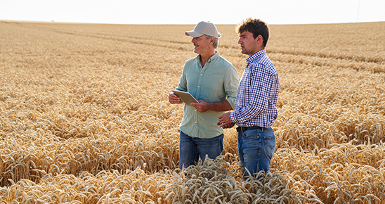 Transmission agriculteurs de père en fils